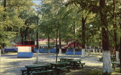 Picnic Grove Postcard