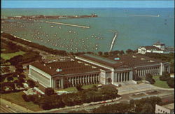 Field Museum Of Natural History Chicago, IL Postcard Postcard