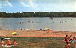 Lake Glendale Golconda, IL Postcard Postcard