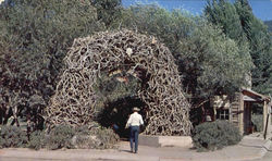 Arch Of Horns Jackson, WY Postcard Postcard