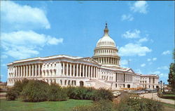 United States Capitol Washington, DC Washington DC Postcard Postcard