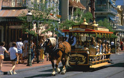 Trolley Ride Down Main Street Disney Postcard Postcard