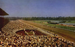 Hollywood Park Race Track Postcard