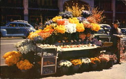 San Francisco Flower Stand Postcard