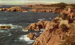 Point Lobos And Coastline Postcard