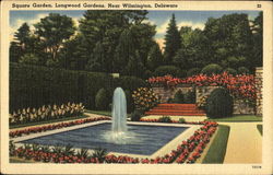 Square Garden, Longwood Gardens Postcard