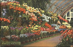 Interior Conservatory, Washington Park Chicago, IL Postcard Postcard