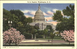 U. S. Capitol Washington, DC Washington DC Postcard Postcard