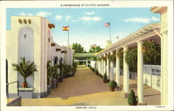 A Promenade At Elitch Gardens Denver, CO Postcard Postcard