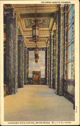 Columns Senate Chamber Postcard