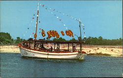 Sightseeing Sponge Boat On Anclote River Tarpon Springs, FL Postcard Postcard