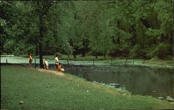 Deming Park Terre Haute, IN Postcard Postcard