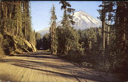 Mt. St. Helens Postcard