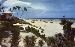 Looking North On The Beach Daytona Beach, FL Postcard Postcard