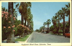 Residential Street Scene Postcard