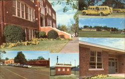 Pittsburg Independent School District Texas Postcard Postcard