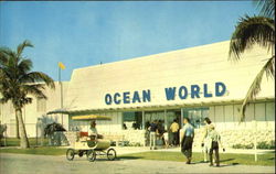 Ocean World Postcard