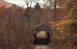 Old Covered Bridge Postcard