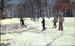 Winter Sports Madison, WI Postcard Postcard