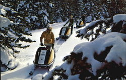 Snowmobiling Postcard Postcard