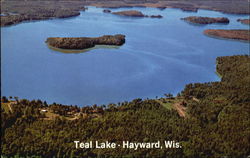 Teal Lake Hayward, WI Postcard Postcard