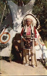 Chief Blow Snake In Full Ceremonial Dress Postcard