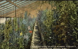 Midwinter Scene At State Nursery Company's Green Houses Helena, MT Postcard Postcard