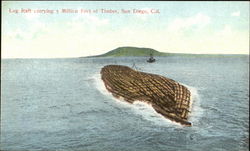 Log Raft San Diego, CA Postcard Postcard