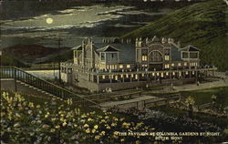 The Pavilion At Columbia Gardens By Night Postcard