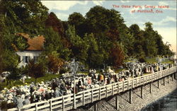 The Oaks Park Postcard