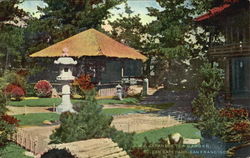 Japanese Tea Garden, Golden Gate Park Postcard