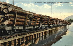 Lumber Train Logging Postcard Postcard