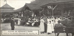 Scene In Hershey Park Pennsylvania Postcard Postcard