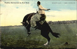 Dudley Stevenson On Red Bird Rodeos Postcard Postcard