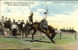 Goldie St. Clair Rodeos Postcard Postcard