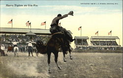 Harry Tipton On Gin Fiz Rodeos Postcard Postcard