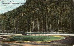 Emerald Pool Yellowstone National Park Postcard