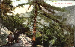 Trail Up Mt. La Cumbre Santa Barbara, CA Postcard Postcard