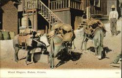 Wood Wagons Bisbee, AZ Postcard Postcard