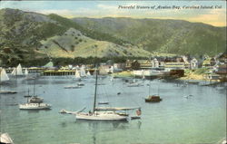 Peaceful Waters Of Avalon Bay Postcard