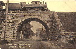 Train On Arch Bridge Short Hills, NJ Postcard Postcard