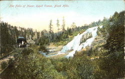 The Falls Of Placer, Rapid Canyon Black Hills, SD Postcard Postcard