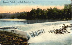 Gwynn's Falls, Gwynn Oak Baltimore, MD Postcard Postcard