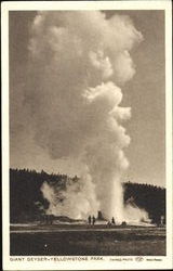 Giant Geyser Postcard