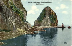 Sugar Loaf Santa Catalina Island Postcard