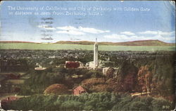 The University Of California And City Of Berkeley Postcard