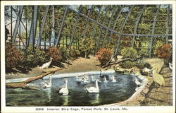 Interior Bird Cage, Forest Park Postcard