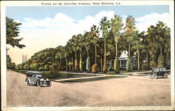 Palms On St. Charles Avenue New Orleans, LA Postcard Postcard