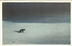 A Critical Situation - Wolf Postcard