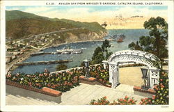 Avalon Bay From Wrigley's Gardens Postcard